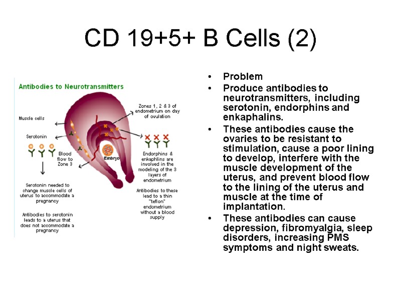 CD 19+5+ B Cells (2) Problem  Produce antibodies to neurotransmitters, including serotonin, endorphins